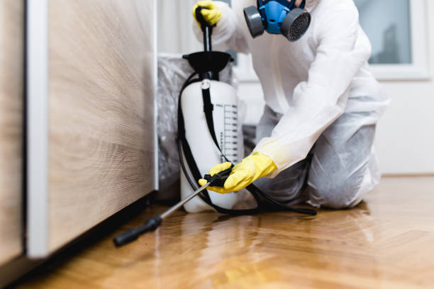 Best Affordable Pest Control Services  in Franklin, TN