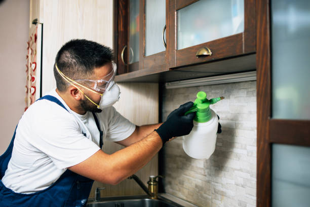 Best Cockroach Control Services  in Franklin, TN