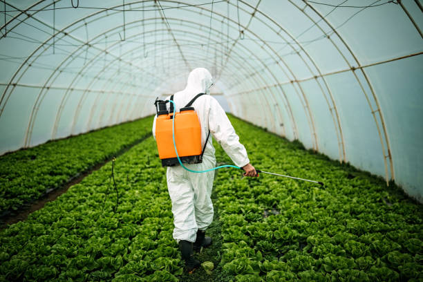 Best Local Pest Control Services  in Franklin, TN