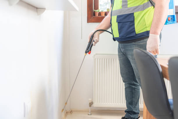 Best Flea Control Services  in Franklin, TN