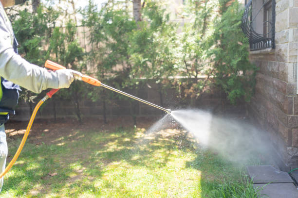 Best Best Pest Control Companies  in Franklin, TN