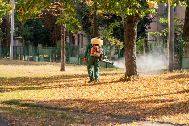 Best Best Pest Control Companies  in Franklin, TN