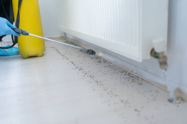 Best Pest Control for Homes  in Franklin, TN