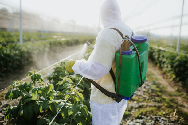 Best Pest Control Near Me  in Franklin, TN